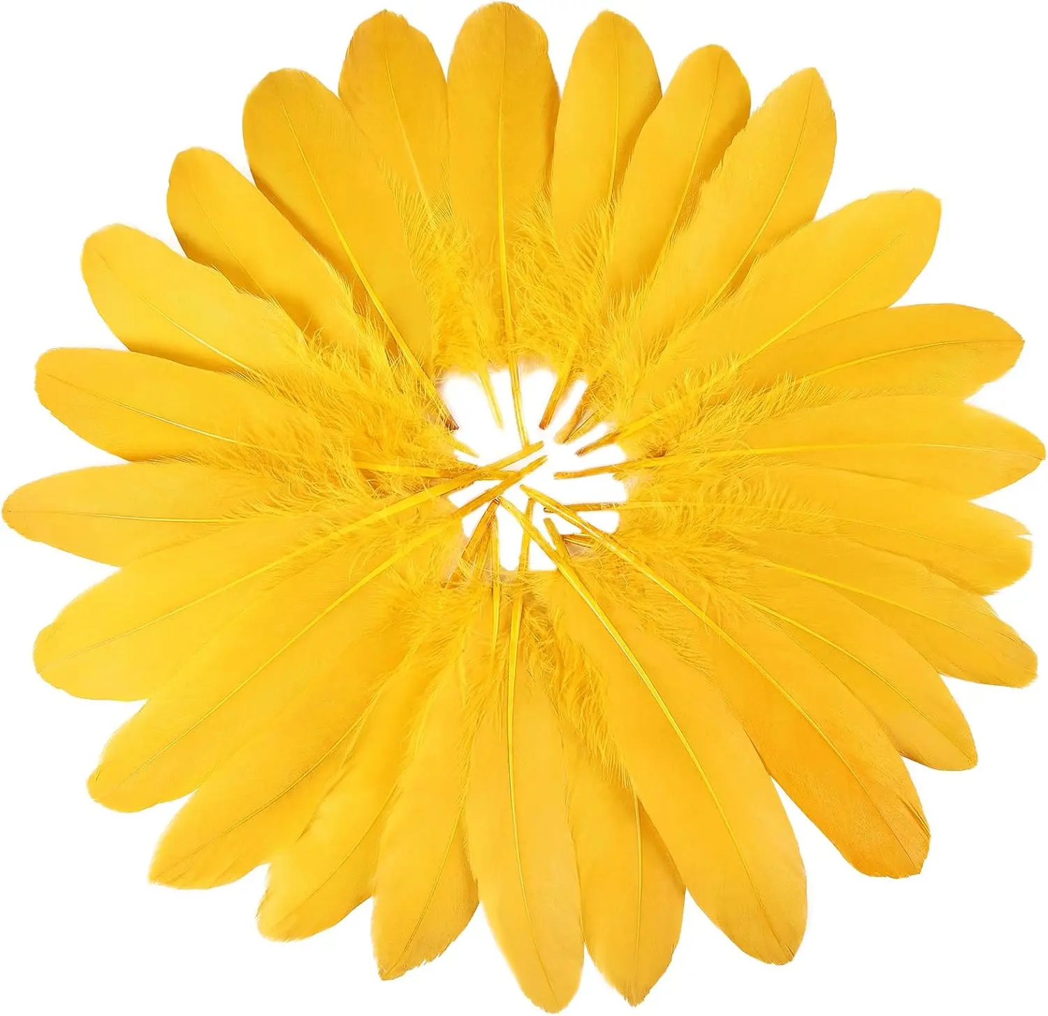 Bulk Cruelty-Free Natural Golden Yellow Goose Nagoire Feathers (120pcs, 6-8in/15-20cm) - Decorative DIY Crafts Ornaments with Cardboard Box Packaging for Wedding Floral Masks, Thanksgiving Pendants