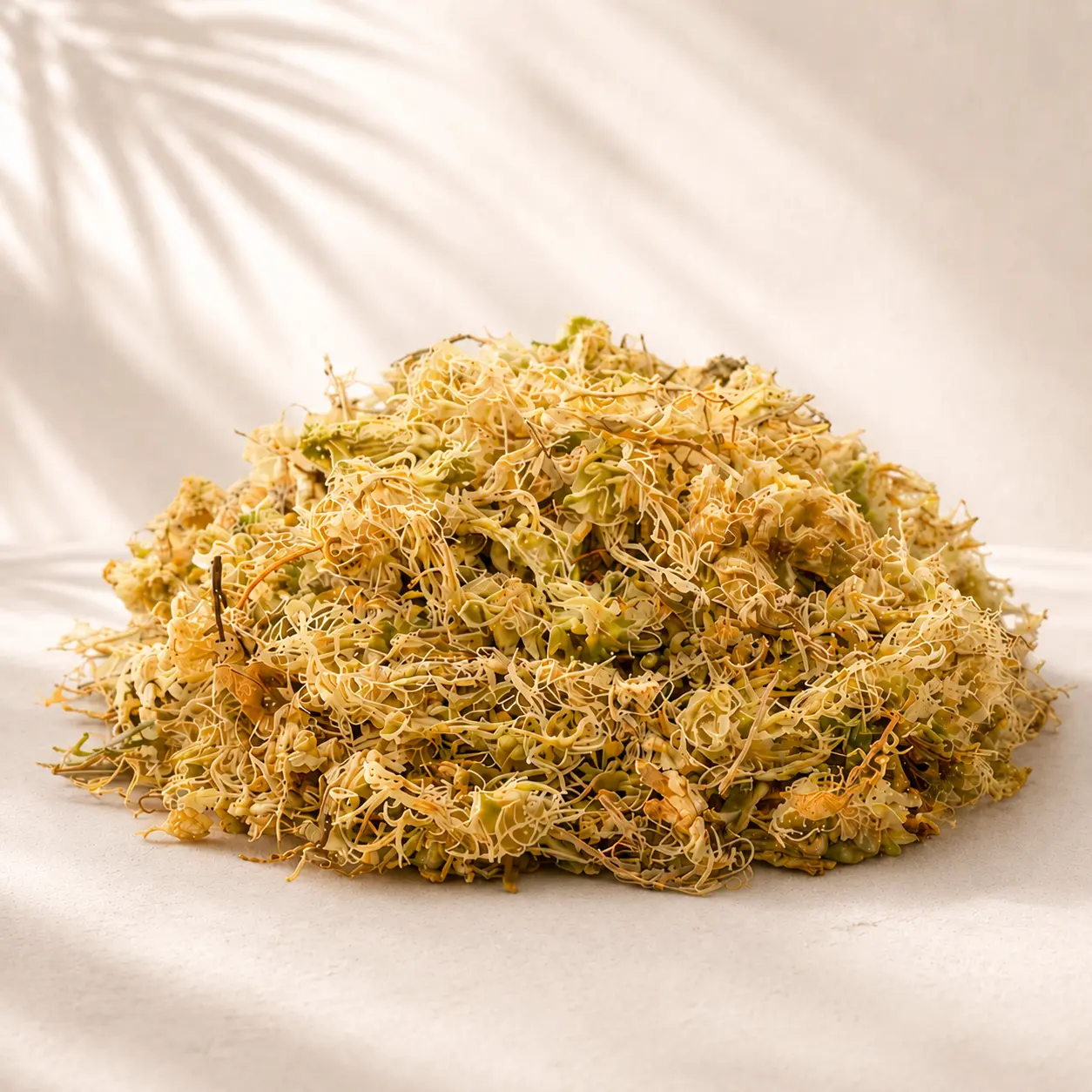 Long-Fiber Sphagnum Moss | Natural Moisture-Retentive Substrate | 4QT