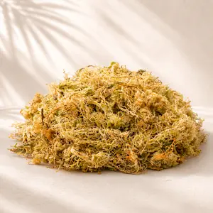 Long-Fiber Sphagnum Moss | Natural Moisture-Retentive Substrate | 4QT