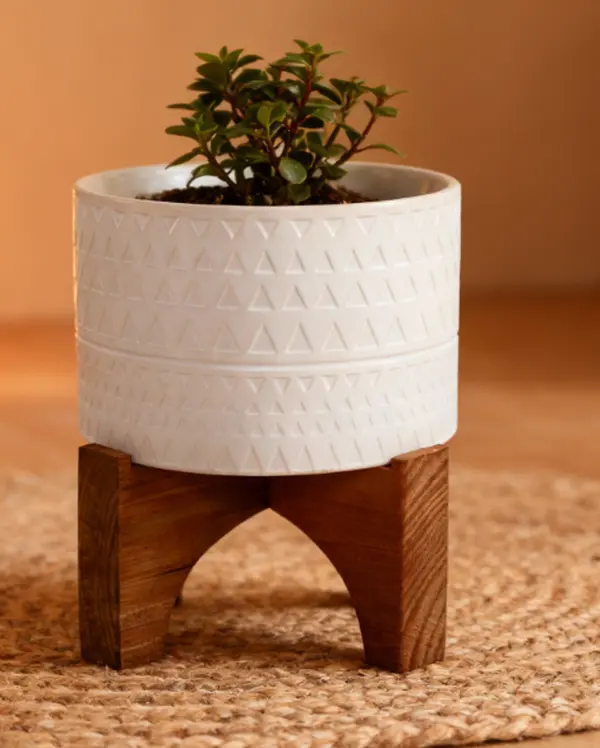 4.5" Pharaoh Ceramic Planter on Stand - White with Textured Design, Elegant Style for Home Decor
