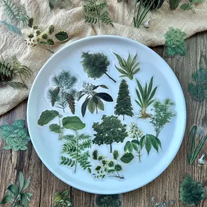 40pcs/pack Green Plants PET Stickers -  DIY Decoration Stickers For Planner, Bullet Journaling, Junk Journal, Retro Crafts -  For Crafting Enthusiasts & Journal Lovers - Perfect Gift for Art & Stationery Lovers