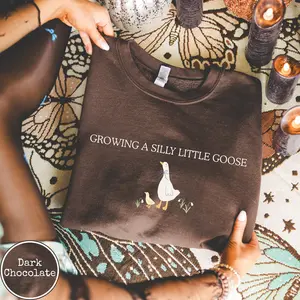 Pregnancy Announcement Sweatshirt, Silly Little Goose Baby Reveal Sweater, Pregnant Shirt,Cute Pregnancy Shirt, Mom to Be shirt, Baby Gift - AMBER