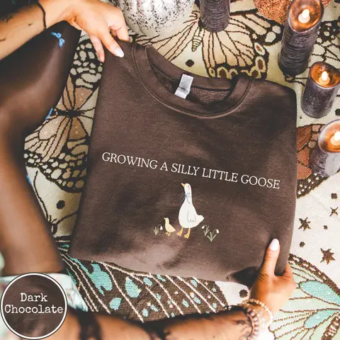Pregnancy Announcement Sweatshirt, Silly Little Goose Baby Reveal Sweater, Pregnant Shirt,Cute Pregnancy Shirt, Mom to Be shirt, Baby Gift - AMBER