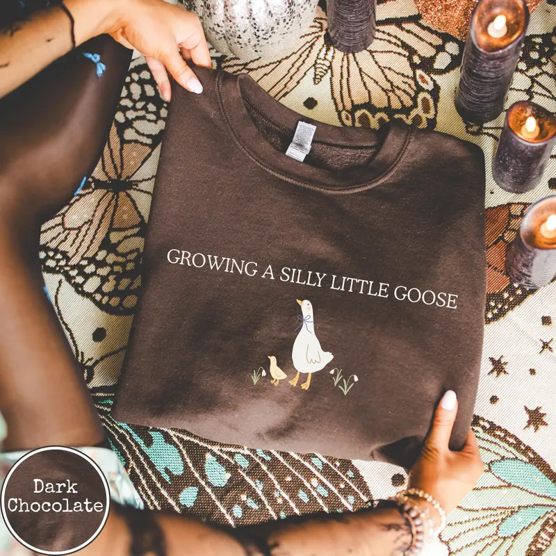 Pregnancy Announcement Sweatshirt, Silly Little Goose Baby Reveal Sweater, Pregnant Shirt,Cute Pregnancy Shirt, Mom to Be shirt, Baby Gift - AMBER