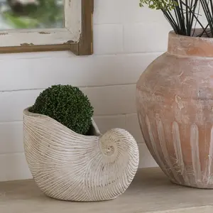 8.5x5.5x6.3" Sand and Cement Nautilus Shell Planter with Textured Beige Finish