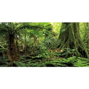 AWERT 60x24 inches Forest Terrarium Background Stone Green Huge Tree Reptile Habitat Background Tropical Rainforest Aquarium Background Durable Polyester Background