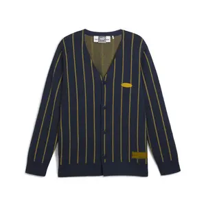 PUMA Mens Hoops X Polar Express Essentials V Neck Sweater Casual - Blue