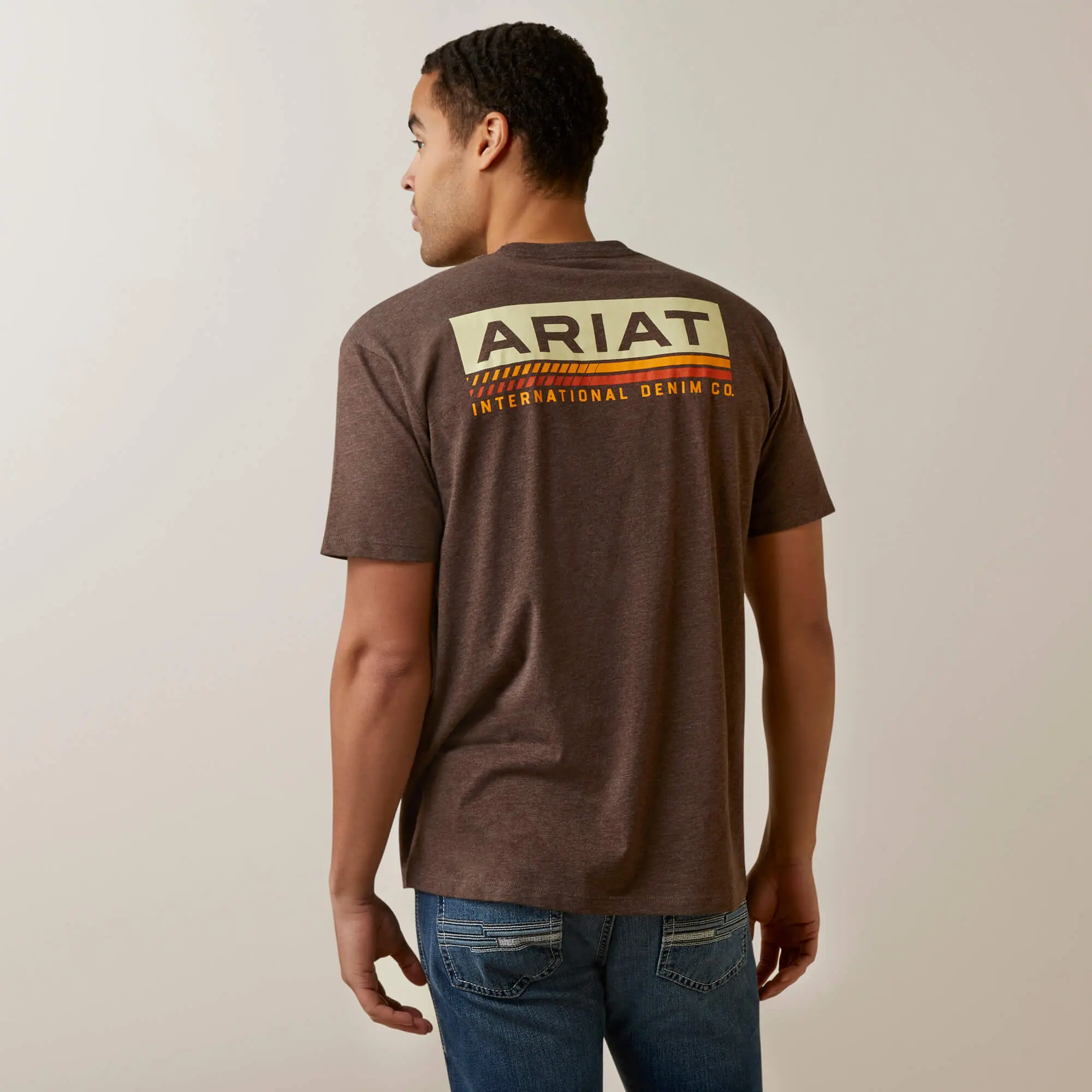 Ariat: Retro Stripe T-Shirt ( Brown )
