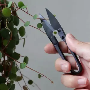 Pruning Shears