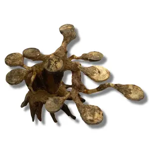 Tofu's Tanks Rainforest Driftwood Tree for Aquariums and Terrariums - Glue Moss and Plants to its Branches - Wood Decor