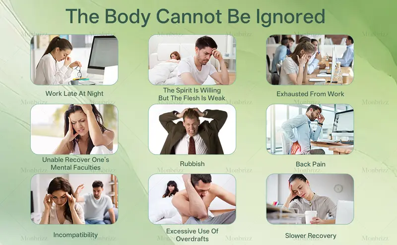 Product Introduction of Ginseng Five Treasure  Wolfberry Tea Men's Health Mulberry Herbal Tea 20/40/60bags - Beverage 13