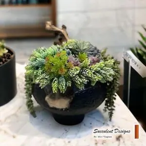 Succulent Design in Black/Gold Circular Metal Vase | Unique Faux Succulent | Floral Arrangement and Metal Planter | Personalized Desk Decor