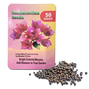 Bougainvillea Seeds 50 Pack, Vibrant Colorful Blooms, Fast Growing, Easy Care Heirloom Non GMO, Heat & Drought Tolerant Climbing Plant for Garden, Patio & Fence