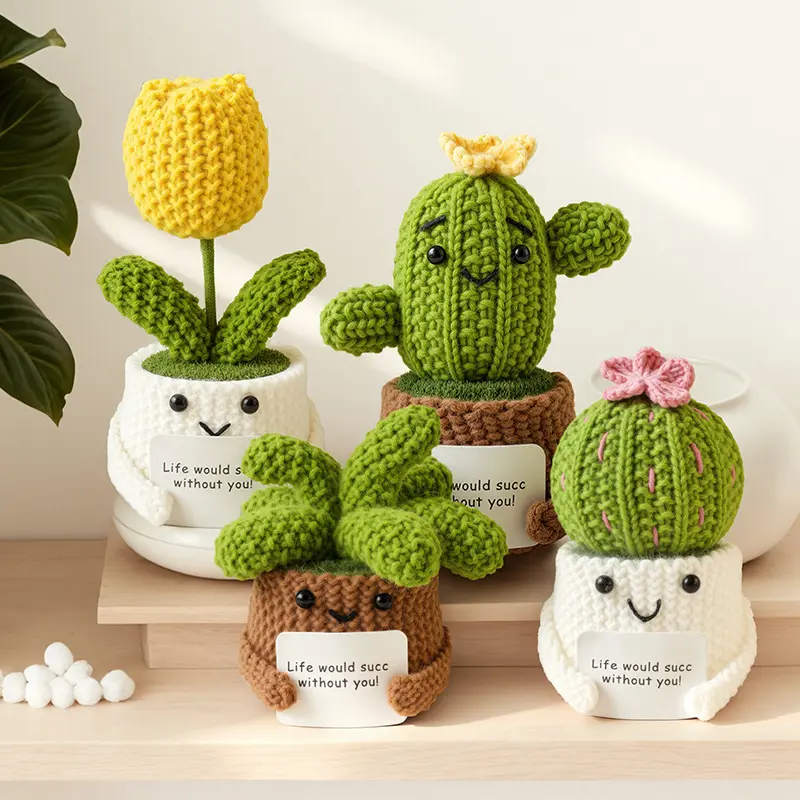 succulent plant meaning as a gift - TikTok Shop