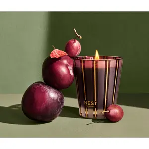 Classic Candle 8.1oz Autumn Plum