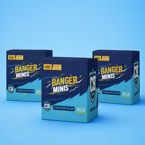 Triple Mini Banger Box - PYT! (1) 100% Authenticated Autographed Mini-Sized Helmets