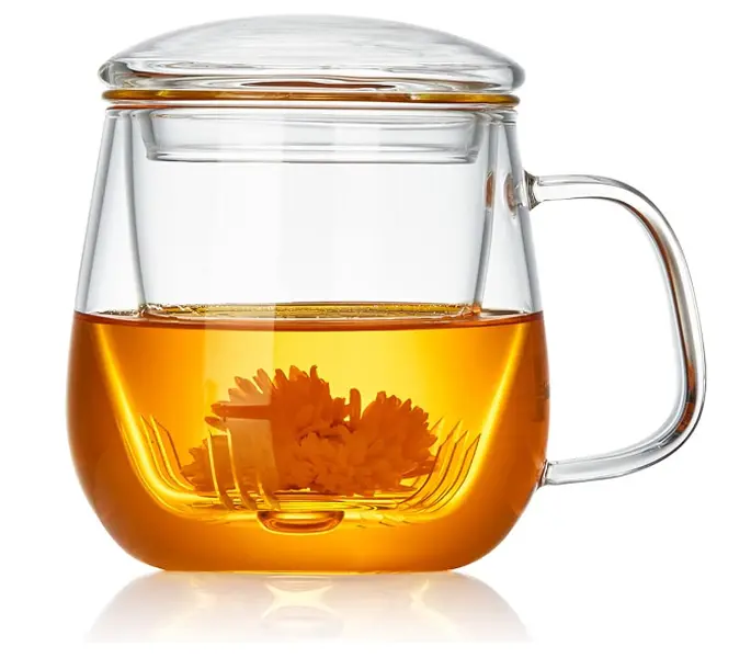 17.6oz/520ml Clear Glass Tea Cup with Infuser and Lid - Perfect Christmas or Birthday Gift for Women - Bottles, Drinkware Metal Transparent