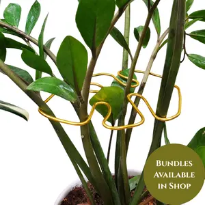 Medium Monstera Leaf Shaped Specialized Wire Original Plant Wrap Leaf and Stem Support 5.5" x 4" Handmade Aesthetically Pleasing for Healthy Growth and Air Circulation