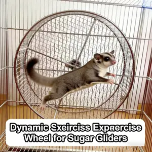 Stainless Steel Sugar Glider Exercise Wheel  Safe Quiet Run Toy for Small Pets Hamster, Hedgehog