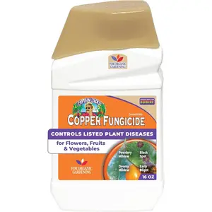 Bonide Captain Jack Copper Fungicide 16 oz Concentrated Plant Disease Control Solution for Organic Gardening