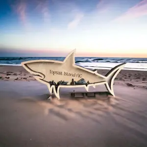 Shark Tooth Shadow Box