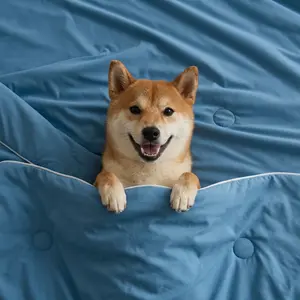 Soulbond Cooling Blanket for Pet  Q-MAX 0.45 Washable Pet Blanket, Travel Soft Pet Summer Essentials