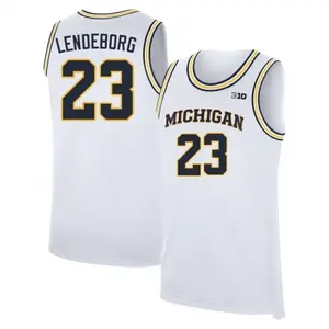 White #23 Lendeborg Michigan Style Basketball Jersey, College Basketball Fan Tank Top, Breathable Mesh Athletic Shirt, Game Day Outfit Gift