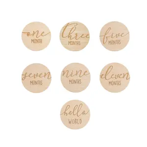 Wooden Reversible Monthly Milestone Photo Prop