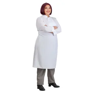 Plus Size Pixar Ratatouille Collete Costume for Women (© Disney) (© Disney/Pixar)