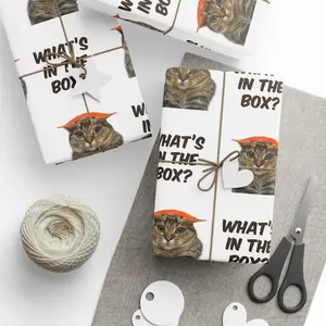 Cat What's in the box Wrapping Paper, Gift Wrap, Funny Wrapping Papers for Birthdays, Christmas, Holidays, Gift for Fans, Gift for Girl, Meme Funny Christmas Wrapping Paper, Funny Gift Wrap