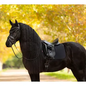 IT07762 LeMieux Essence Dressage Square English Saddle Pad - Black