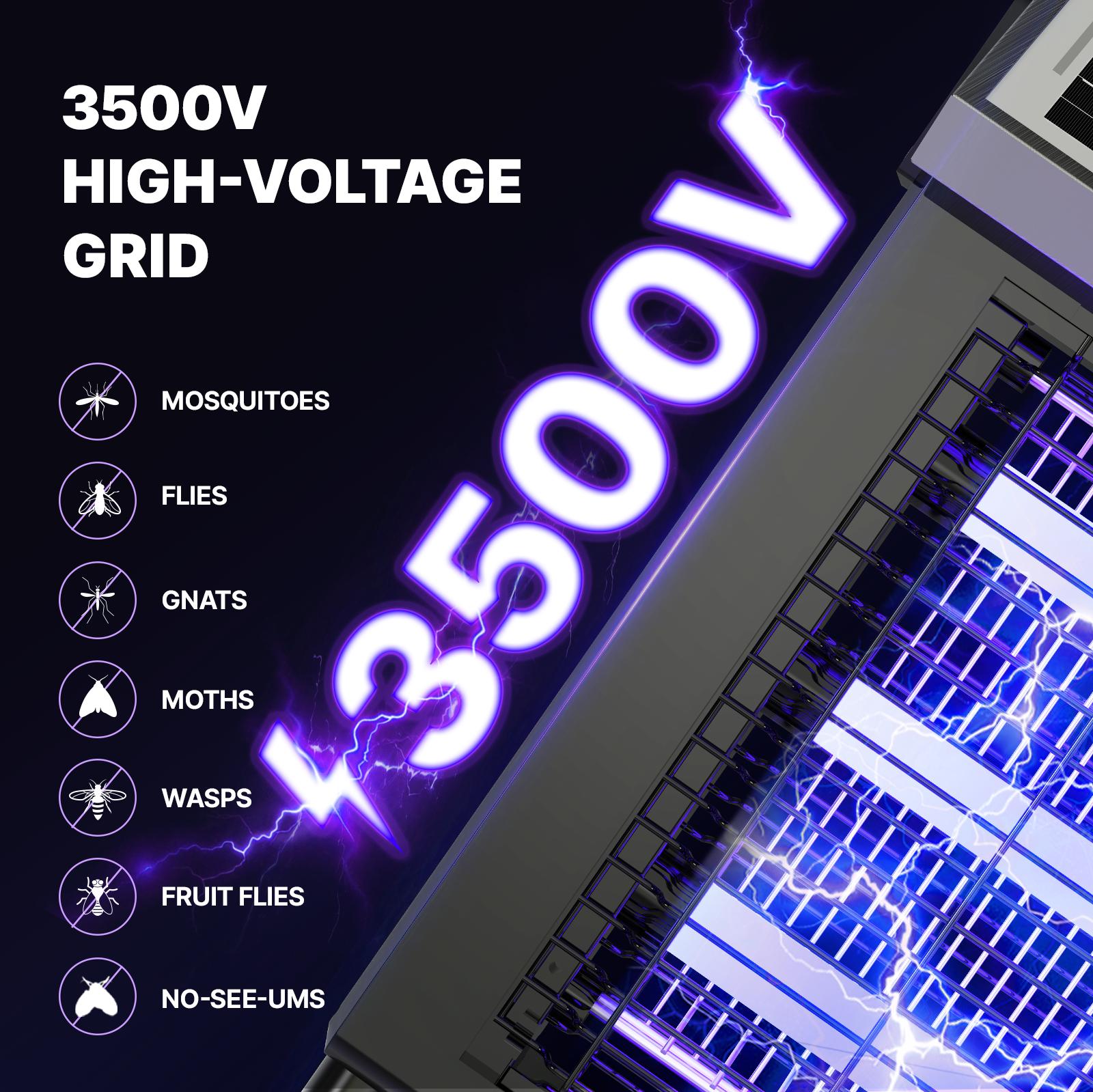 High Voltage Grid