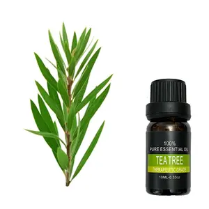 Tea Tree Essential Oil for Aromatherapy for your home or office diffusers