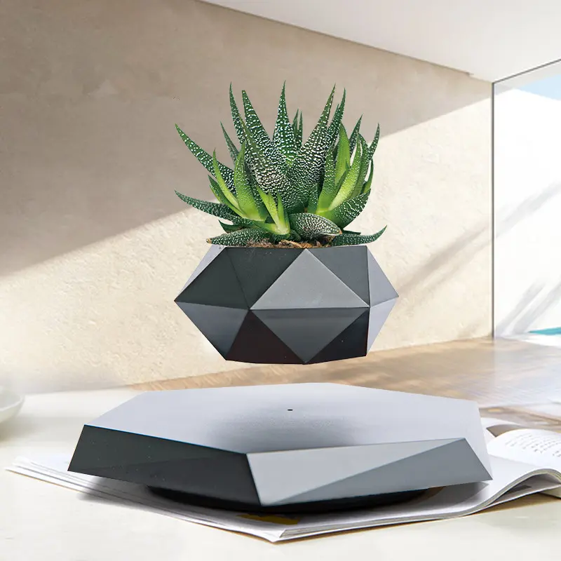 aquarium plant pots Amazon Sword Pot Perfect Rooted Aquarium Plant main image 1
