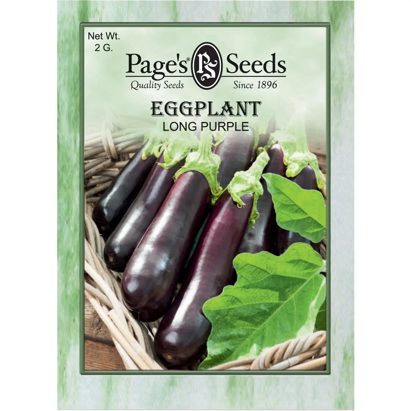 Eggplant