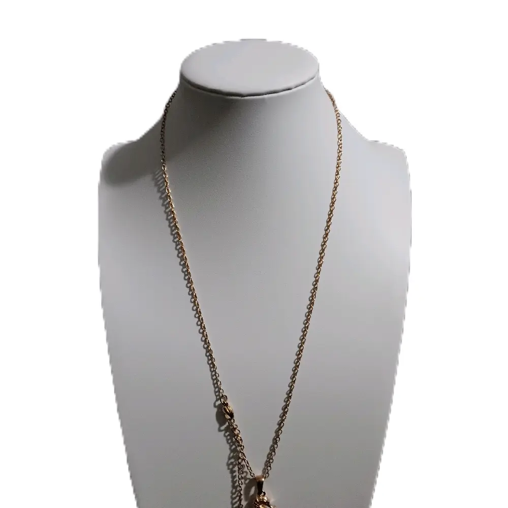 Necklace and seahorse design pendant Stainless