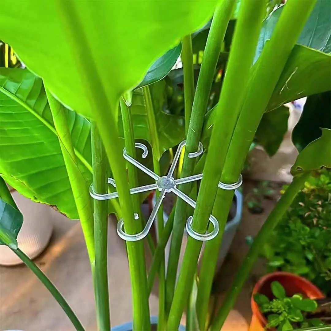 Plant Anti-Toppling Support Pole Plant Stake Green Plant Fixator Flower Hydroponic Folding Fixed Support Garden Obelisk Trellis Garden Plant Supplies