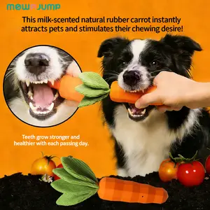 【Clearance Sale】puppy  surprise  gift dog  toys  squeaky  noise Mewajump Elite Scented Carrot Dog Chew – Tough Rubber, Safe Non-Toxic, Puppy Teething Relief & Interactive Play!