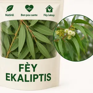 Fèy ekaliptis