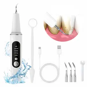 Plaque/Tartar Remover for Teeth, Electric Tooth Cleaner Tartar Remover for Teeth with LED Light,5 Modes Rechargeable Teeth Cleaning Kit with Dental Tools, 3 Replaceable Heads Oral Care Gums Safe Use
