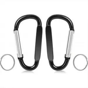 2PCS Carabiner Clip, 3" Large Aluminum Clips D Ring Shape Carabiner, Contain 2 Key Chain and 2 Key Ring Keychain Hook