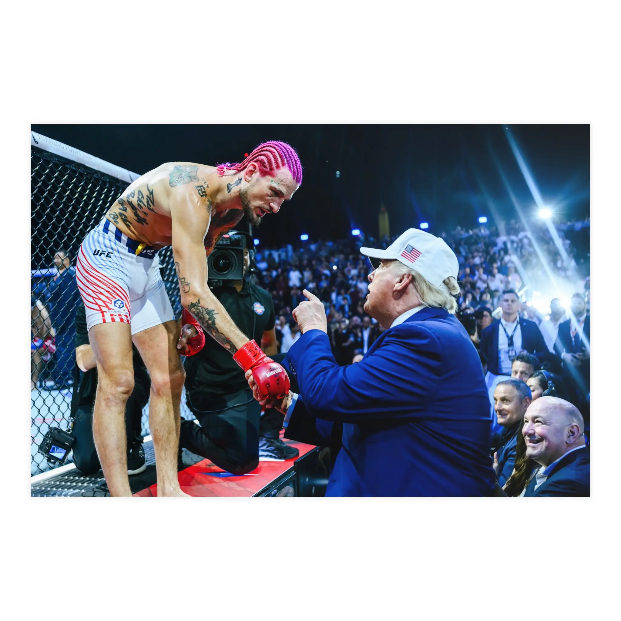 Suga Sean Trump MMA Horizontal Matte Poster - Fight Night - Men Decor - Man Cave - Gift for Men and Woman