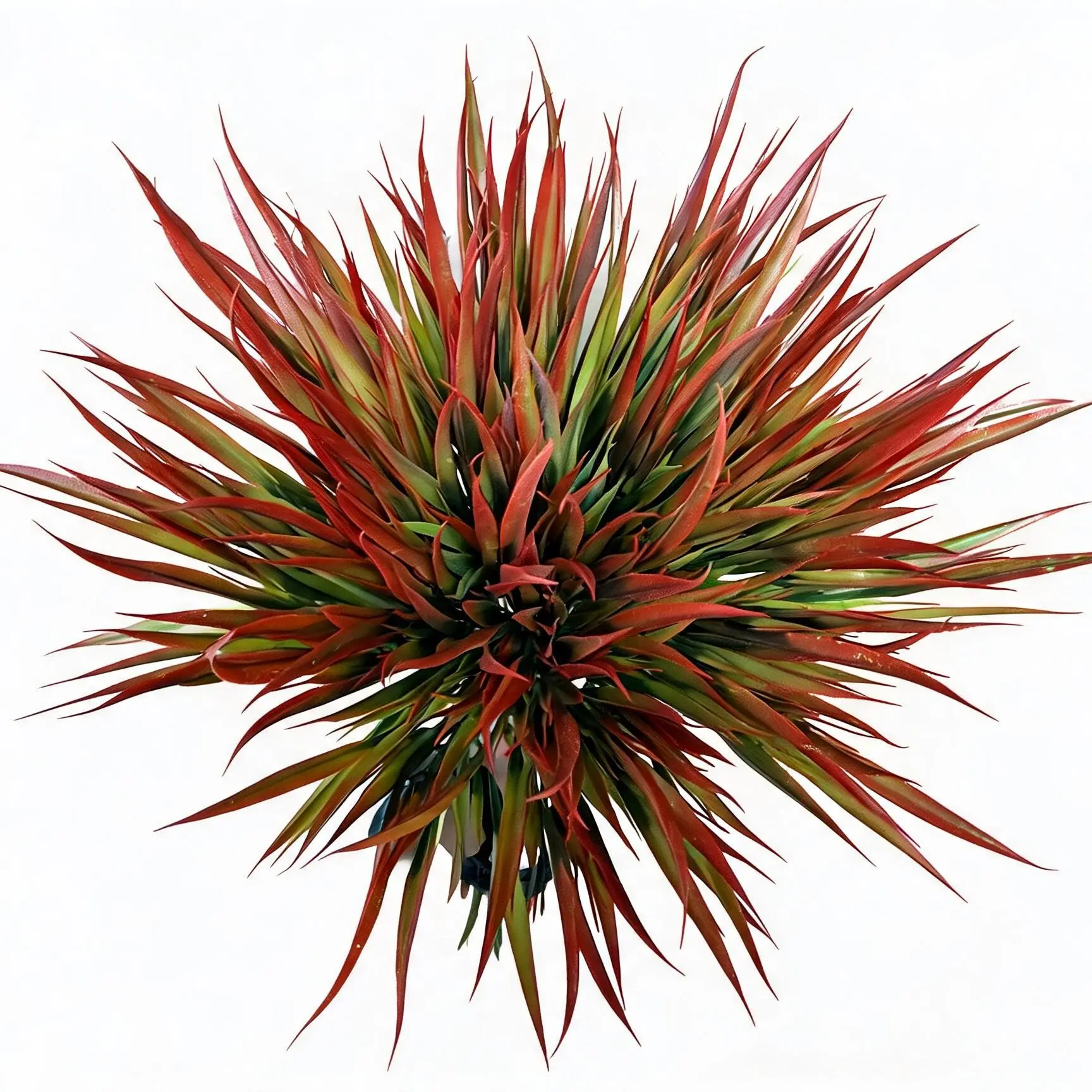 12 Pcs 5-Fork Spring Grass Tipped Artificial Plants, UV Resistant Plastic, Outdoor Fake Grass Decor, Garden, Patio, Porch, Home Decoration, Decorative artificial plants