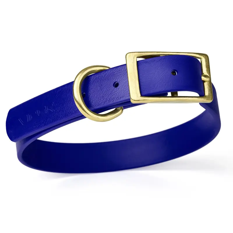 Size S (12 to 15 inches)-Viper Biothane Waterproof Collar - Brass Hardware