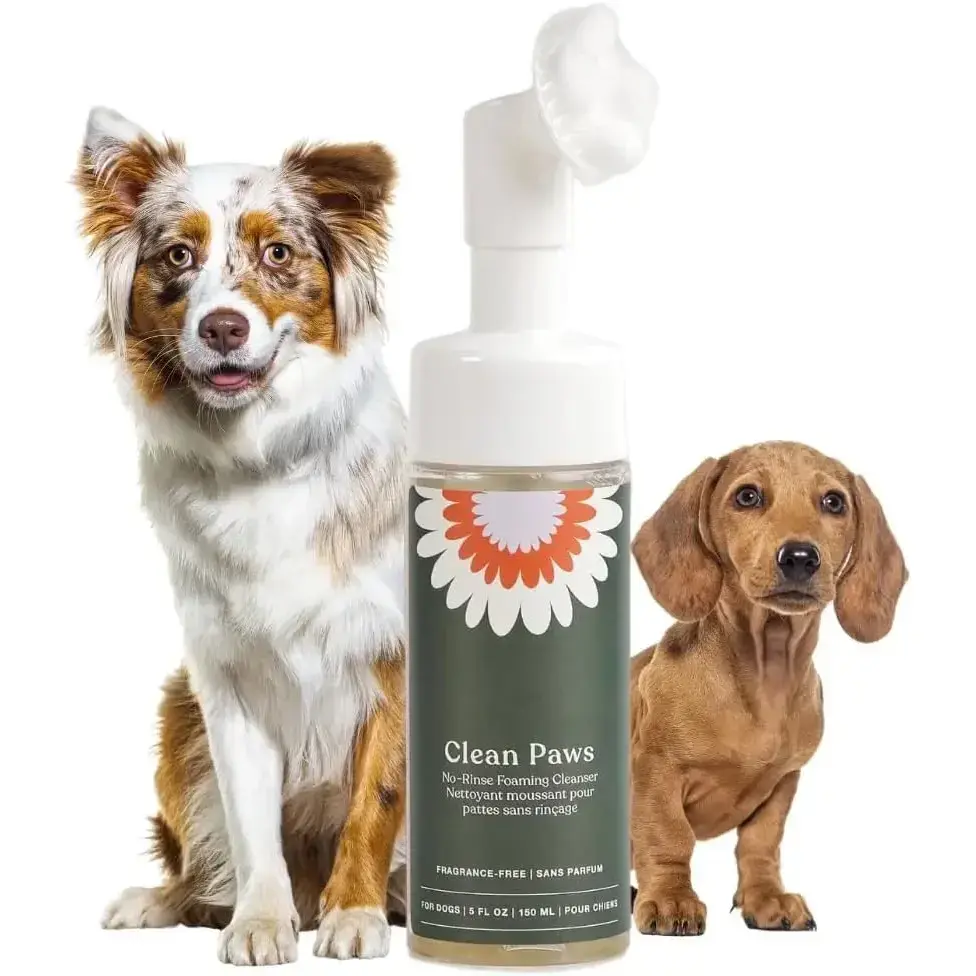 Clean Paws | No-Rinse Dog Paw Cleaner & Puppy Paw Washer | Gentle, Fragrance-Free, pH Balanced Foaming Cleanser with Silicone Bristle Brush | Safe for All Dogs | 5 fl oz