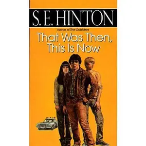USED-That Was Then, This Is Now by S.E. Hinton (Unknown)