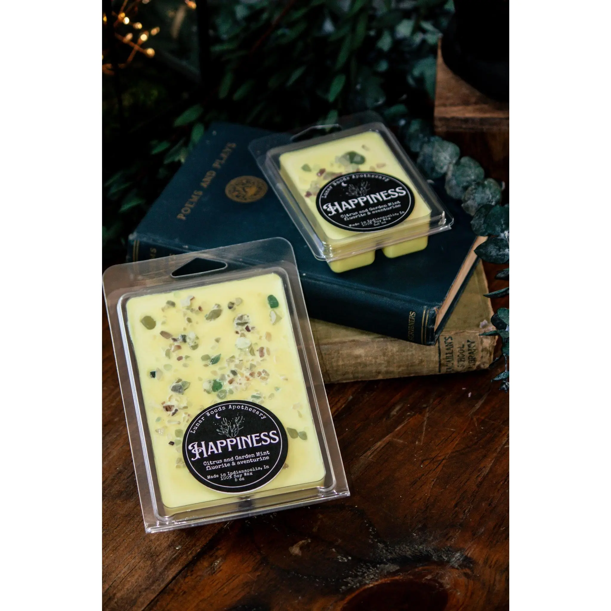 Happiness — Witchy Wax Melts