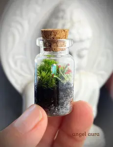 Miniature Terrarium // Micro Crystal Point Lichen Moss Garden // Mini British Soldier Lichen ~ Aura Quartz Crystal Garden