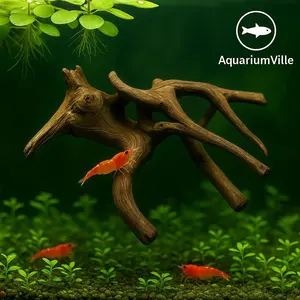 Spiderwood 7-8 Inch Natural Aquarium Hardscape for Aquascaping & Planted Tanks Lightweight Driftwood for Fish Shelter & Biofilm Growth