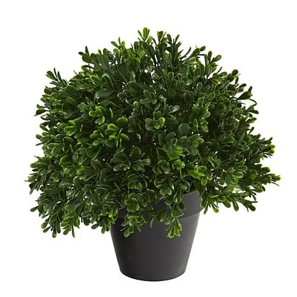 Nearly Natural 10 in. Boxwood Topiary Artificial Plant UV Resistant Nearly Natural 10 in. Boxwood Topiary Artificial Plant UV Resistant